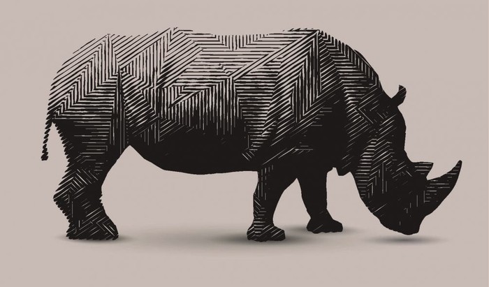 Is there a rhinoceros in the room? - Psychology, A priori, Knowledge, Perception, Longpost