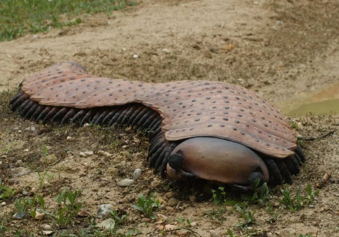 giant prehistoric centipede