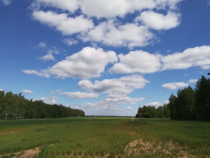 Field - My, Field, Nature, The photo