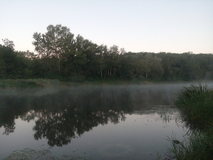 Morning on Seversky Donets - My, Fishing, , Longpost