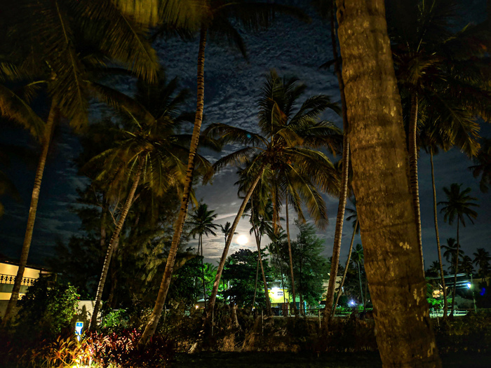 Night in the Dominican Republic - My, Dominican Republic, Night, moon, Beach, Palm trees, Longpost