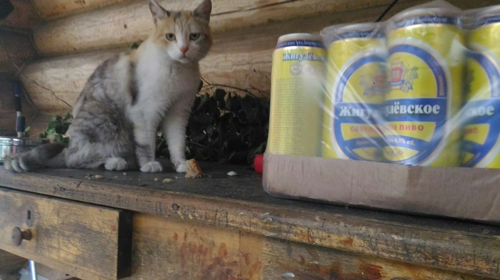 У каджита есть товар, если у тебя есть монета