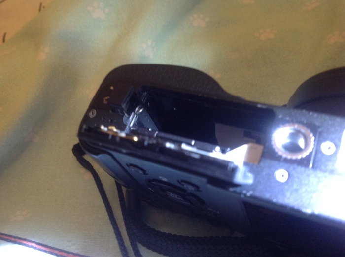   WhatIsThisThing, Ricoh, 