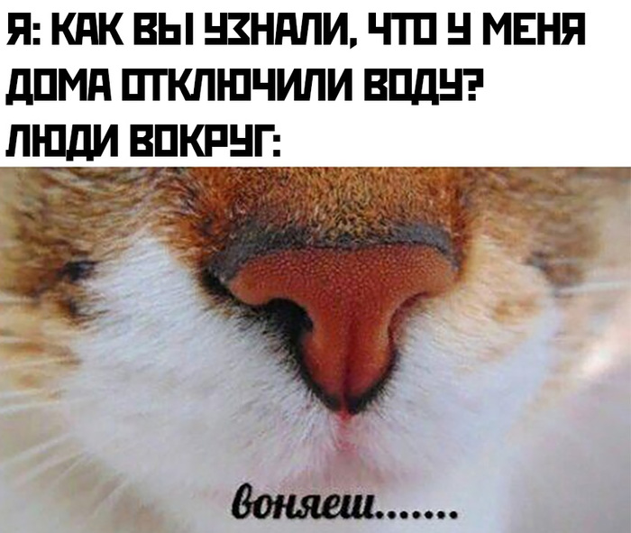  !