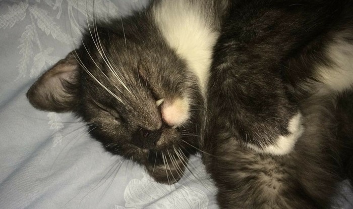 Всё по накатанной...