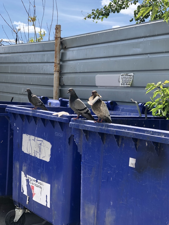 Самопровозглашенный