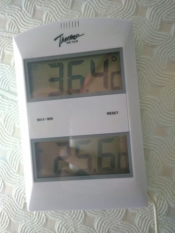 What is the temperature outside - Weather, My, Rostov region, Heat