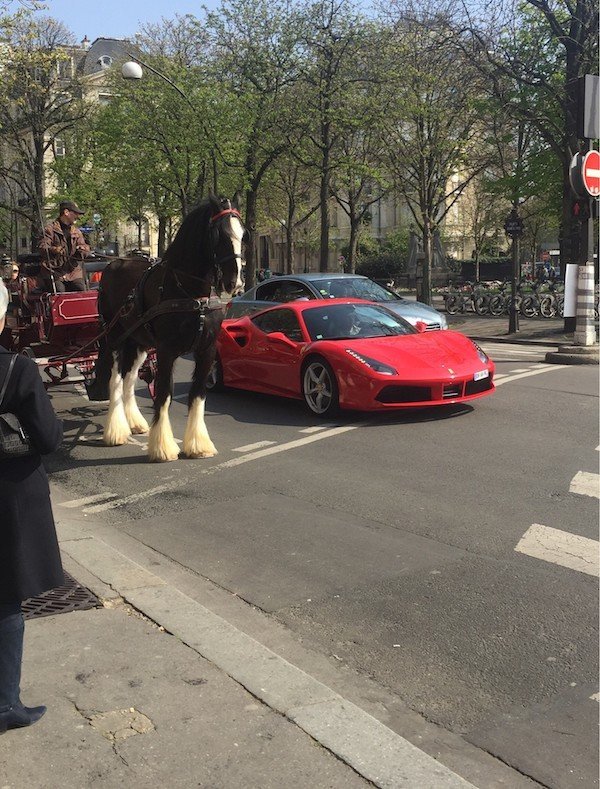 One horsepower versus seven hundred - The photo, Horses, Ferrari, Crossroads