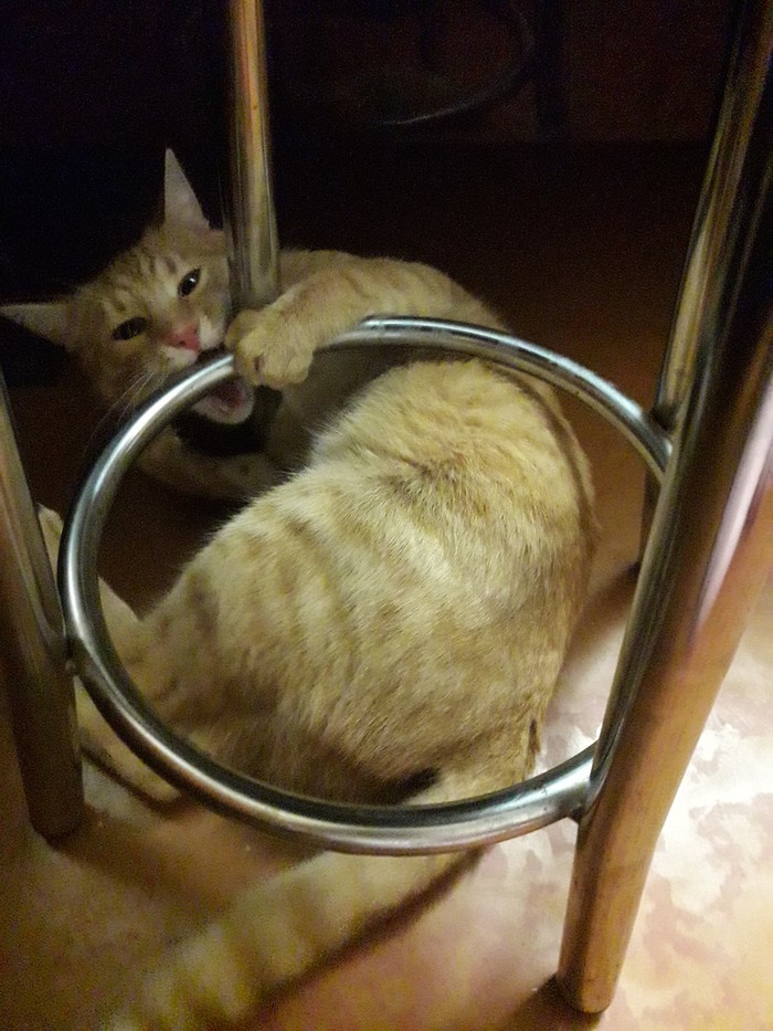     ?    ! , 