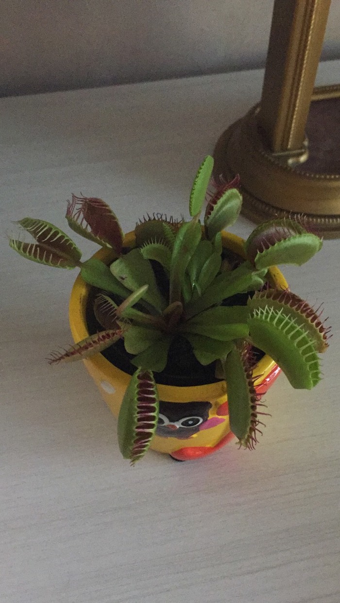 ���������� � ������� ��������� ���������