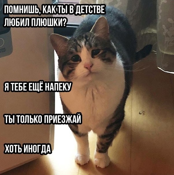 �� ������ ���������