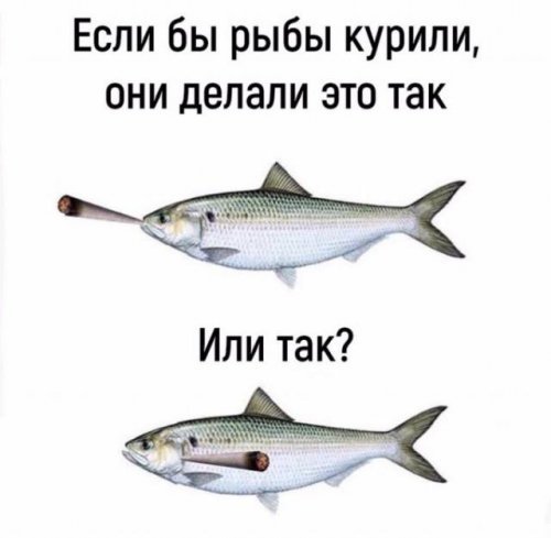 А как ? - Курение, Рыба