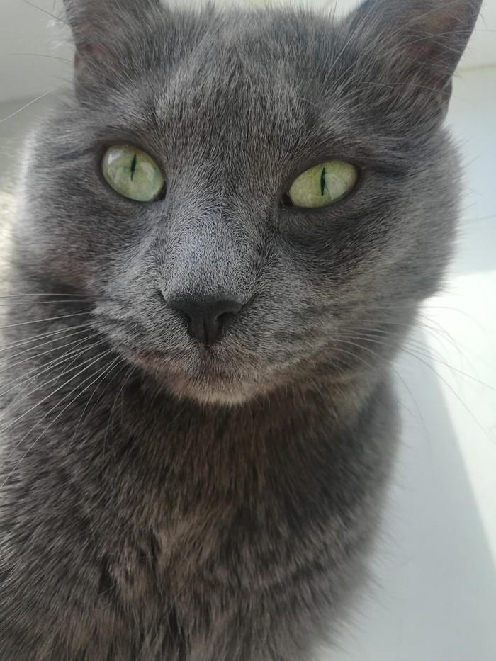 ������������ ����� �������)