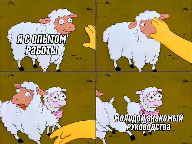 Когда устраиваешься на работу в России - Работа, Картинка с текстом, Юмор, Прием на работу, Кумовство