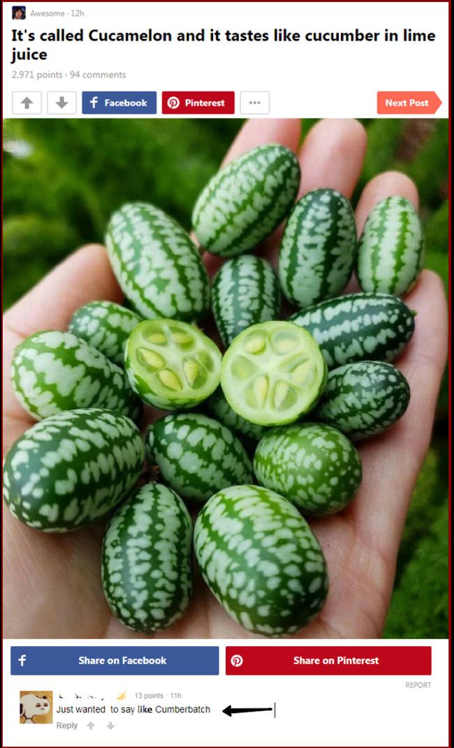 На вкус как... - Cucumber, Бенедикт Камбербэтч, Скриншот, Cucamelon