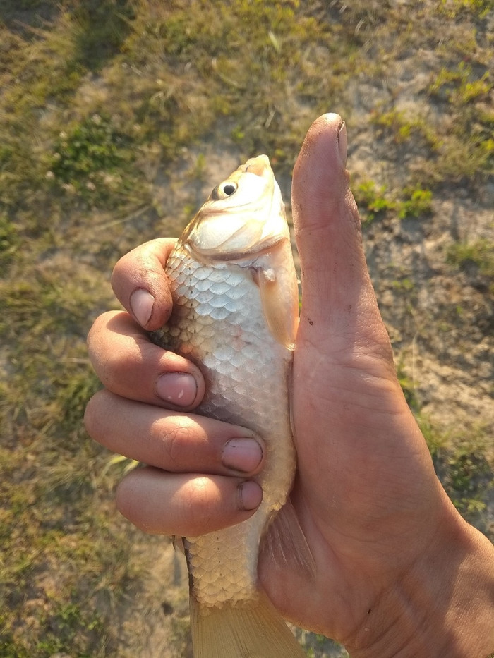        ,  , ,   , ,  , 
