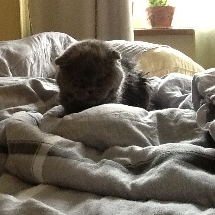 ����� �����...