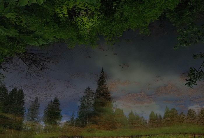 Reflection - My, No filters, Lake, Forest, Mobile photography