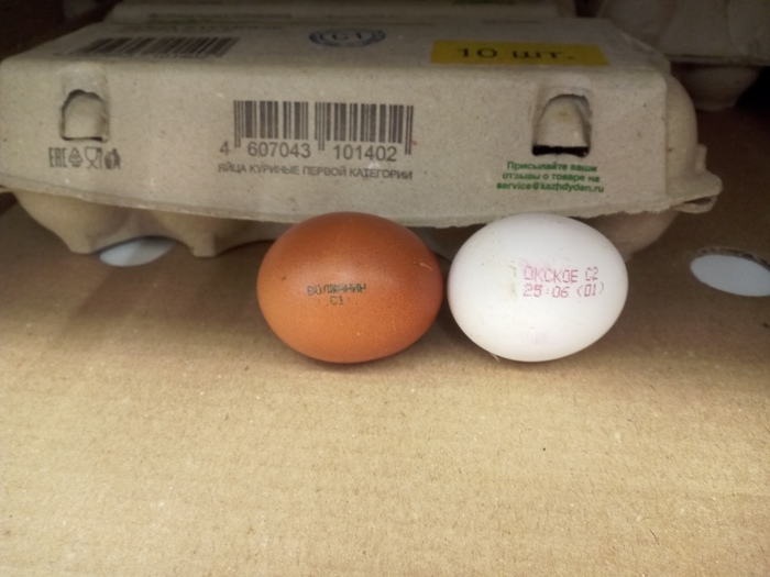 ����� ��������.