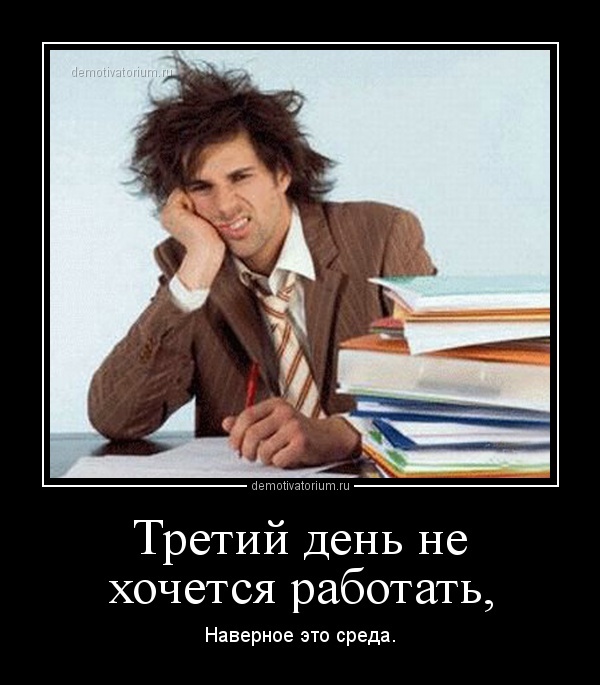 Working days of the week! - My, Work, Работа мечты, Workers, Friday, Weekdays, Work days, Office weekdays, Longpost