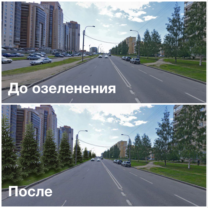 Why is there no greenery in our cities when there is a forest around the houses! - My, Landscaping, Urbanization, Cities of Russia, Beautification, Saint Petersburg, Greenery, Conifers, Longpost