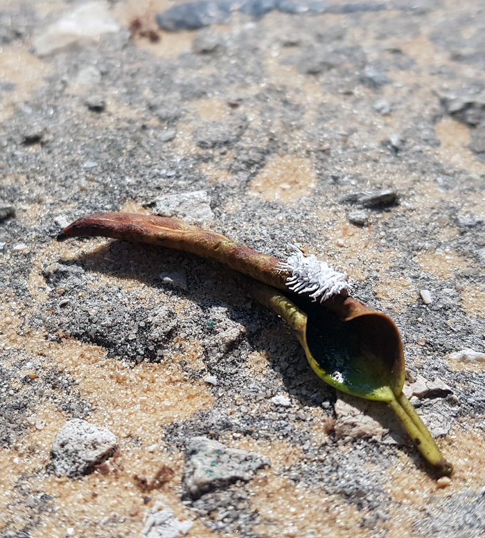 ��� �� �����?