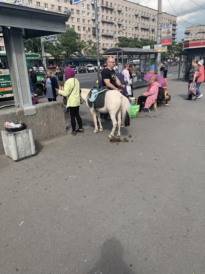 Horse - Beggars, Bombanulo, Horses, Pony, Negative, Saint Petersburg