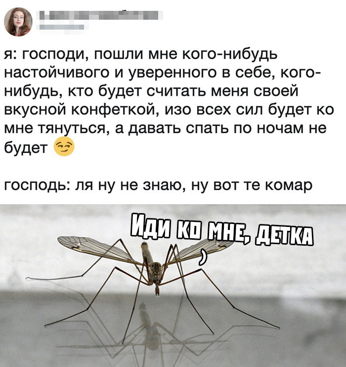 Desires should be formulated more precisely - From the network, Mosquitoes, Wish, Humor, Picture with text