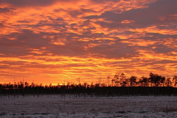 White Nights in Karelia - My, Beginning photographer, Карелия, Track