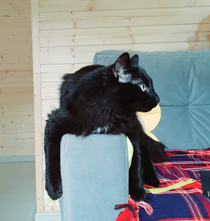 ������ ���