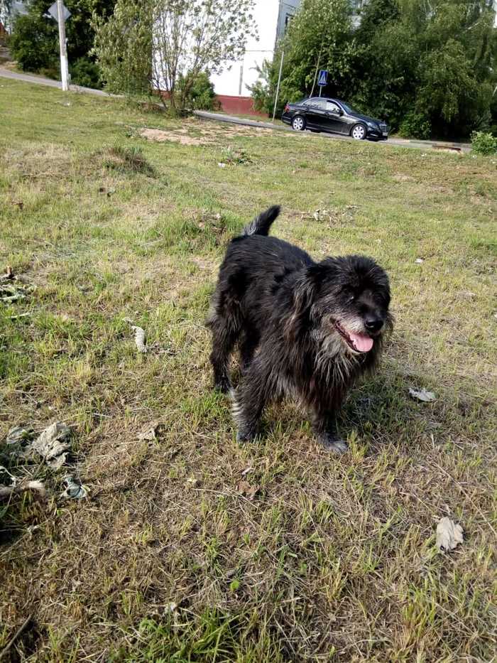 � ������ ���� ������ �����������