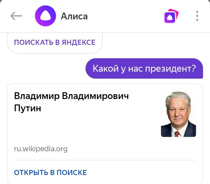 Алиса поищи. Загугли Алису. Что загуглить у Алисы. Кто придумал Алису покажите фото.