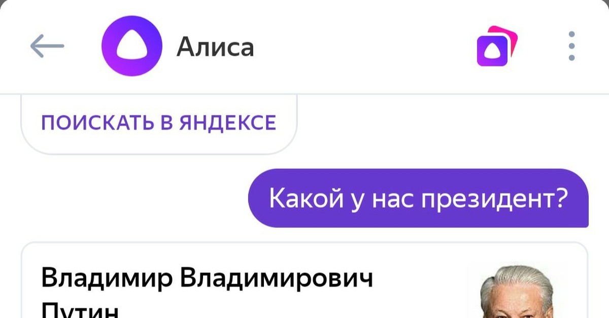 Алиса поищи. Алиса смешные картинки.