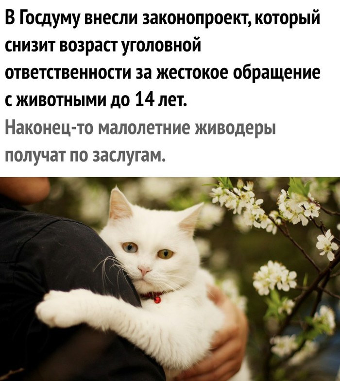 Проект закона о животных