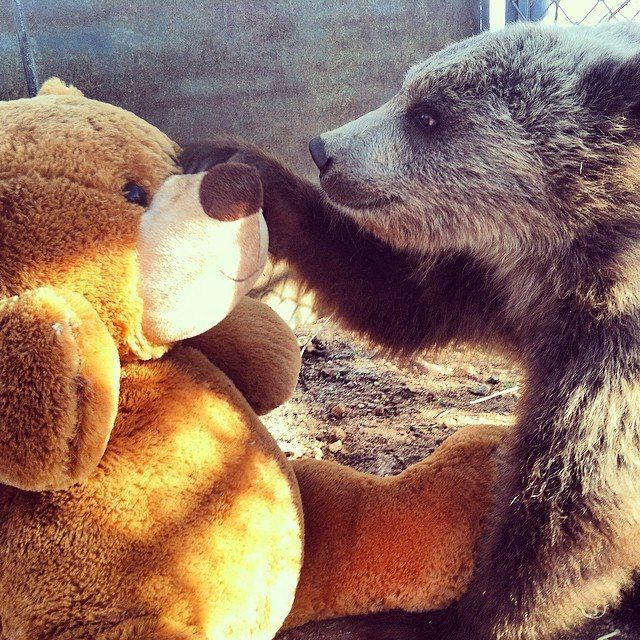 �� ����� ������. �� ������.