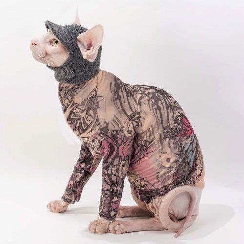 Bodysuit for bald people - Images, Bodysuit, Sphinx, , Longpost, cat