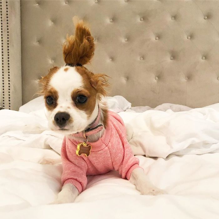 Доброе утро