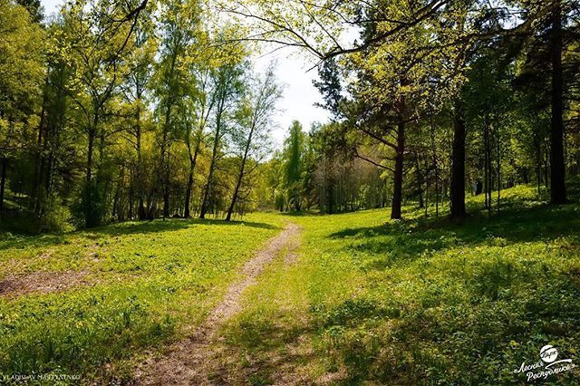 Первый трейл в Новокузнецке. Трейл На-гора - Моё, Новокузнецк, Трейл, Бег, Спорт, Забег, Длиннопост