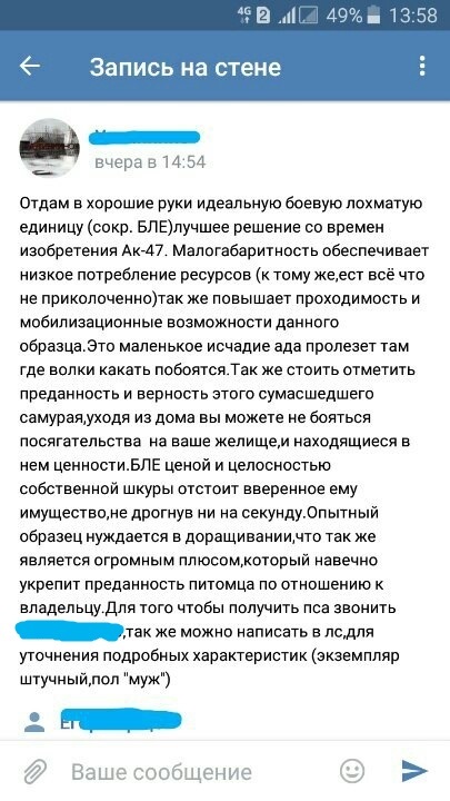 Из чего сделан этот пёс?!? - Оригинально, Смех, Юмор, Домашние животные, Собака