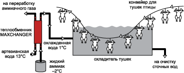 Птицефабрика - Моё, Пищевка, Раскрытие правды, Химия