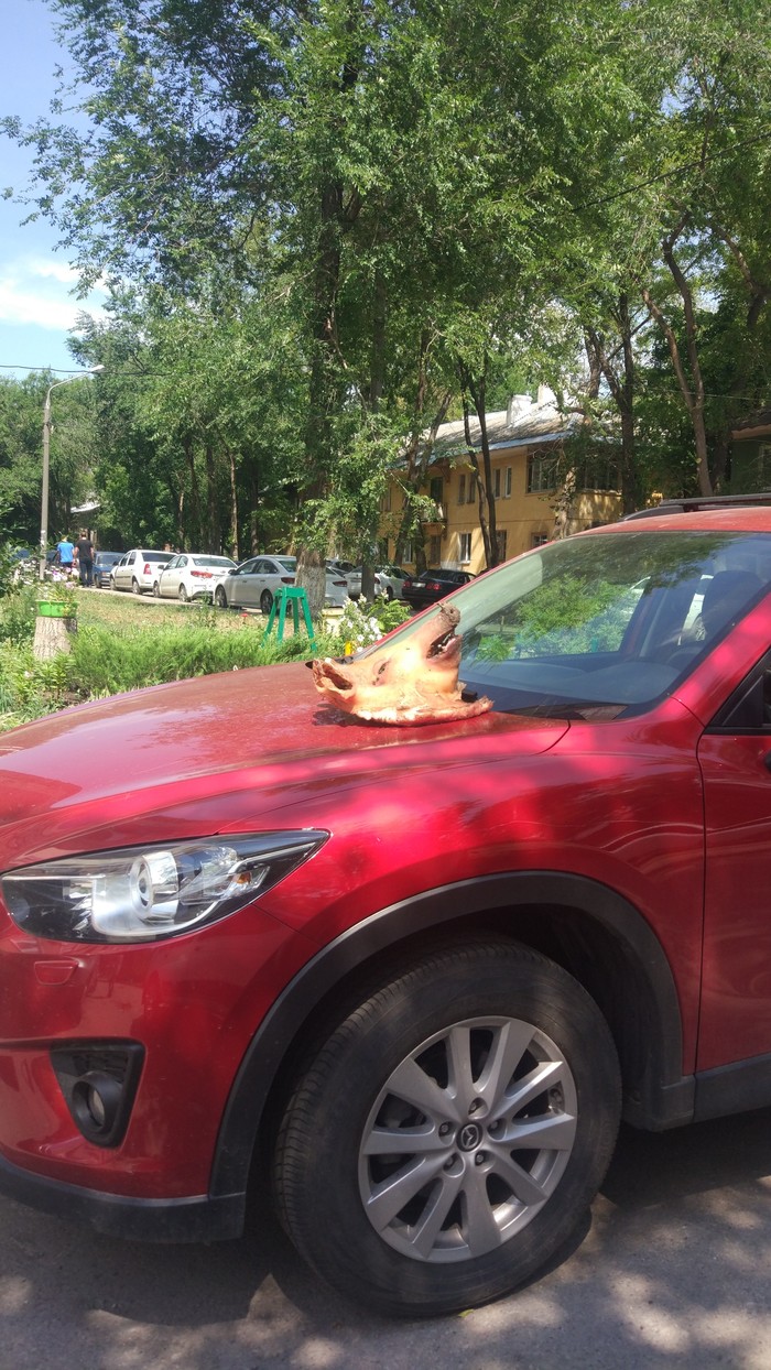 ��� ��� ������?