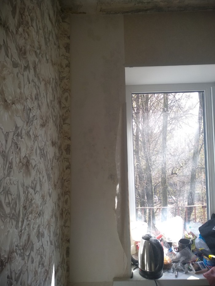 How to get rid of mold? - Repair, Black mold, , Crooked hands, Longpost, Mold