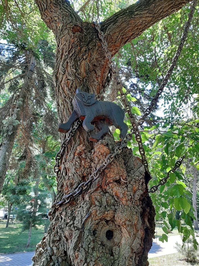 ��� ������