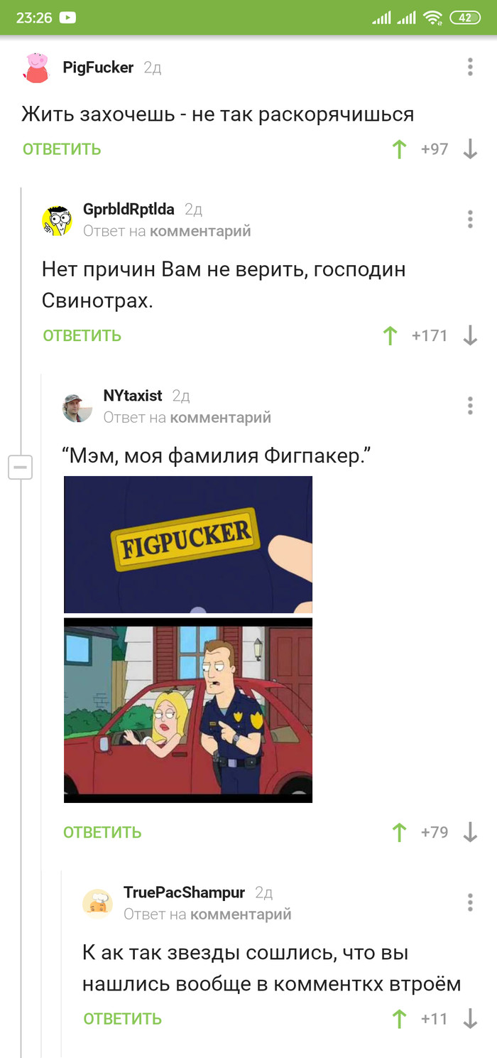 Мистер свинотрах