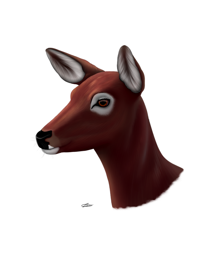 ��������.