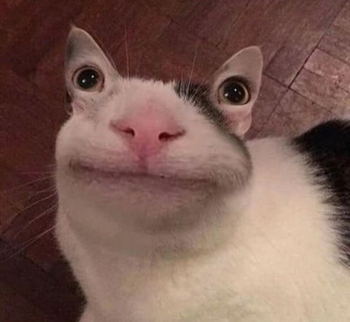     ?