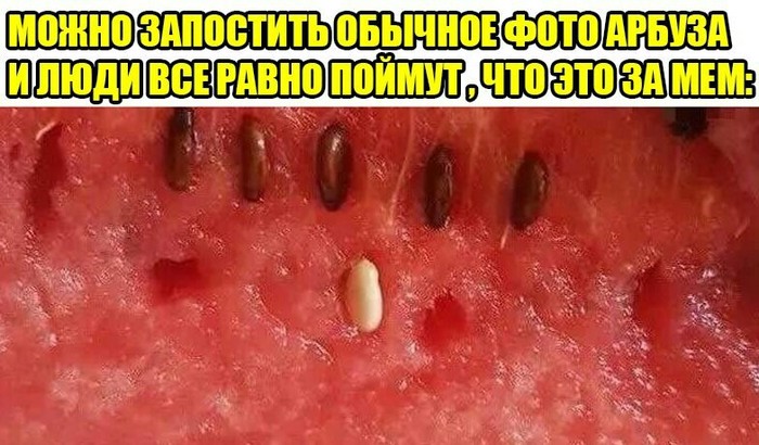 Just a watermelon - Watermelon, Memes