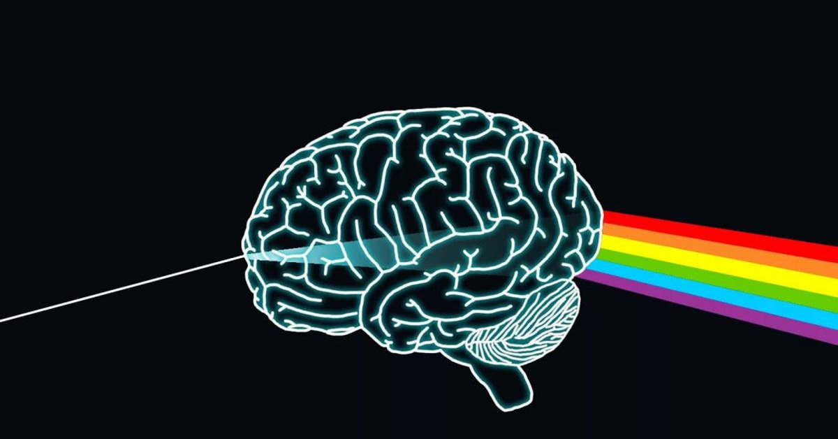 Как видеть мозгом. Мозг на черном фоне. Изображение мозга. Мозг арт.
