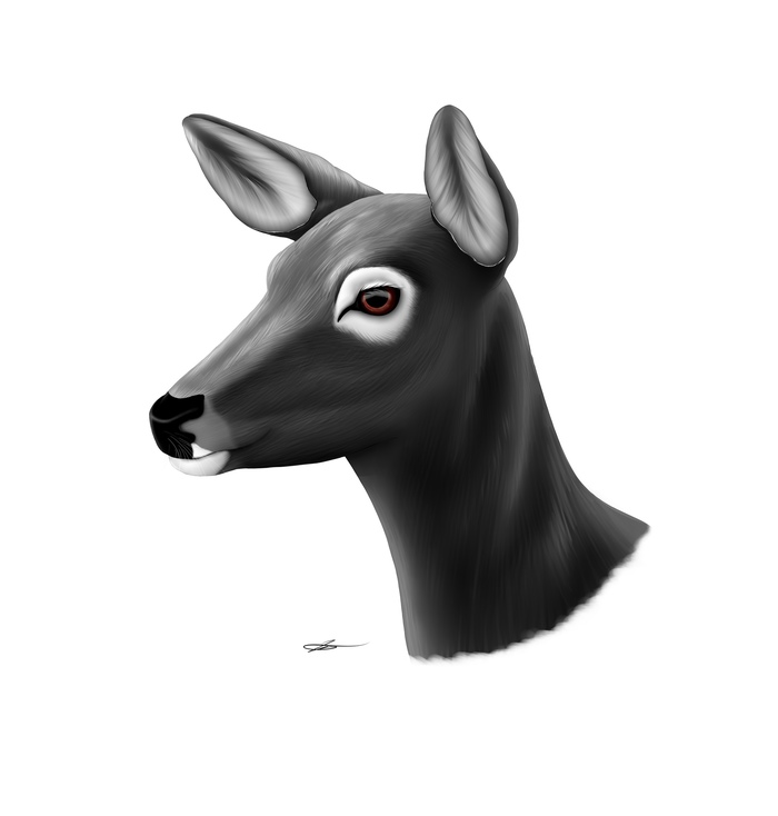 ������ � �������� ��� ��.