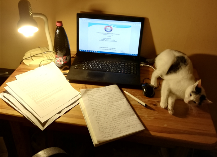 Студенческая поэзия